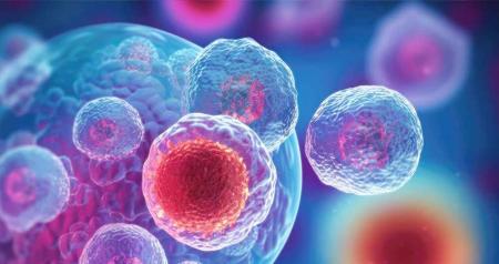 How_Stem_Cell_Therapy_May_Help_Rebalance_Your_Immune_System_.jpg