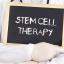 Healing from Within: Facts About Stem Cell Therapy Basic Properties, Procedures, and Treatments