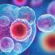 How_Stem_Cell_Therapy_May_Help_Rebalance_Your_Immune_System_.jpg